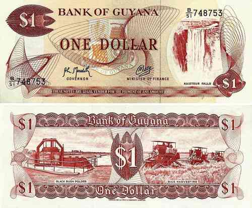 Guiana - 1 Dolar 1989 (# 21f)